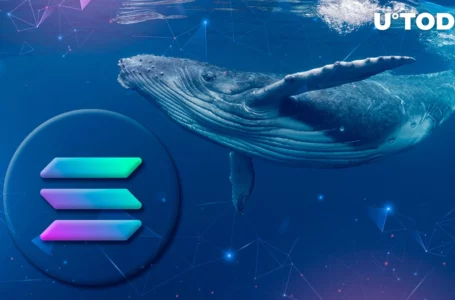 Solana Sees Enormous Whale Trading Volumes in the Last 24 Hours