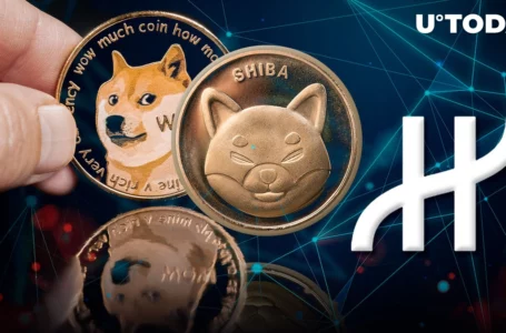 SHIB, DOGE Now Accepted by Hublot Giant