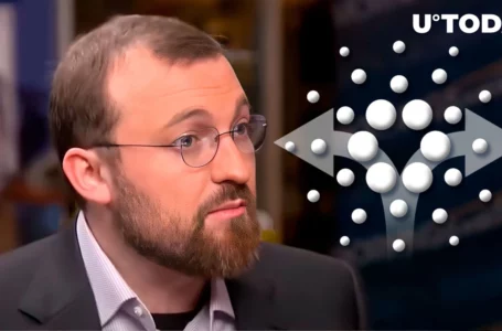 Cardano Founder Breaks Silence on Vasil Hard Fork, Gives Reason for Delays