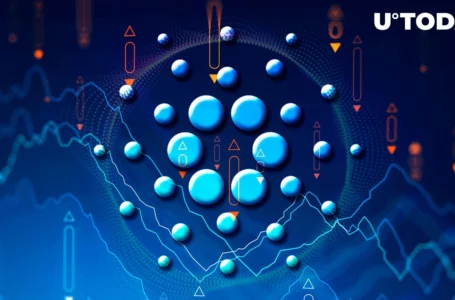 Cardano Drops Below $0.5, Here’s Where Next Support Is