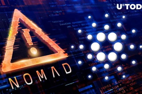 Cardano Users Indirectly Impacted by Nomad Hack: Details