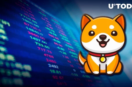 BabyDoge Coin Listed on This Major Exchange: Details