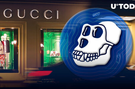 ApeCoin Now Accepted by Fashion Giant Gucci