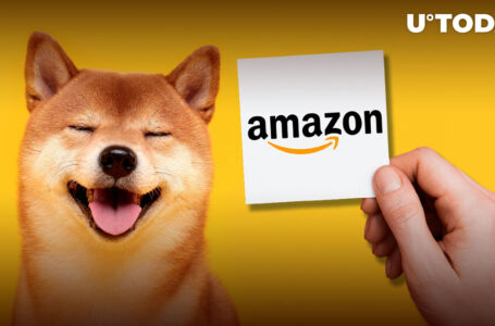 Amazon Proved to Be SHIB “Solid Daily Burner”: SHIB Burn Portal