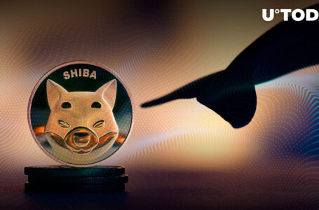 Whales Buy $150 Million in Shib Since Sunday: Details
