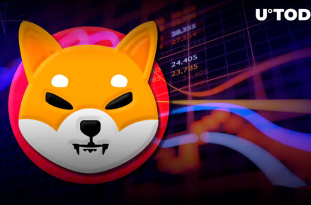 Shiba Inu (SHIB) Shows Unseen Price Performance