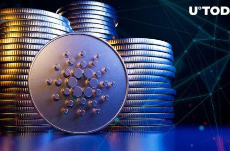 Cardano-Cosmos Ecosystem Bridge Launches, Network Statistics Spike