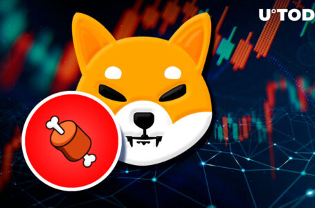 Shiba Inu Lead Developer Says BONE Has “Woken Up” as Price Jumps 25%