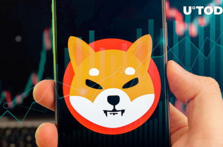Shiba Inu (SHIB) Breaks Out of Stalemate: What’s Next?