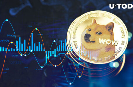 Dogecoin Unveils Another Major Release