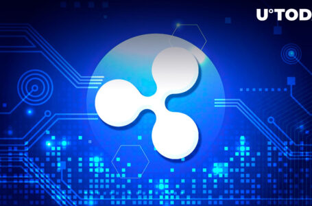 516 Million Moved by Ripple and Top-Tier Platforms