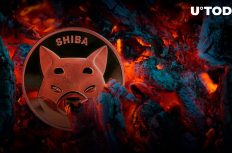 Here’s How SHIB Army Could Burn 1.3 Billion Per Day: Shib Burner