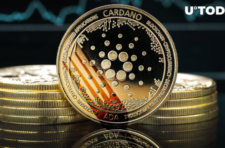 Cardano: Here’s What’s New With Ongoing Vasil Hard Fork