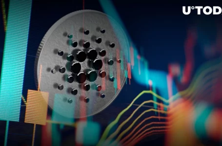 Cardano: Someone Is Buying It Up, and Reason Remains Unknown