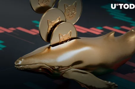 Shiba Inu Whales’ Trading Volumes Surge by 511% as Top Holders Reposition