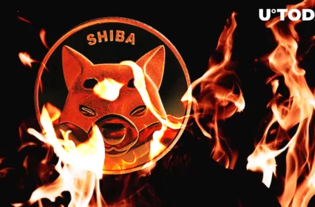 Shiba Inu Burn Rate Spikes 250% After Massive 312 Billion SHIB Whale Purchase