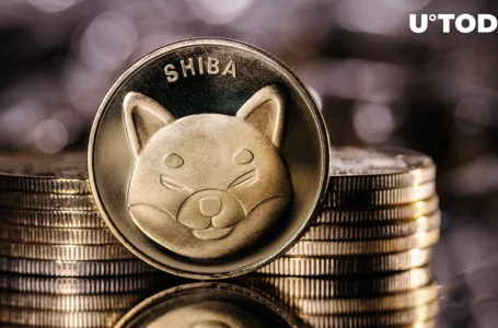 Shiba Inu: Mysterious “Buying” Activity Spotted, Here’s What Happened
