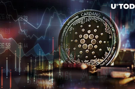 Cardano Transaction Count Spikes to 75,000 with More to Come