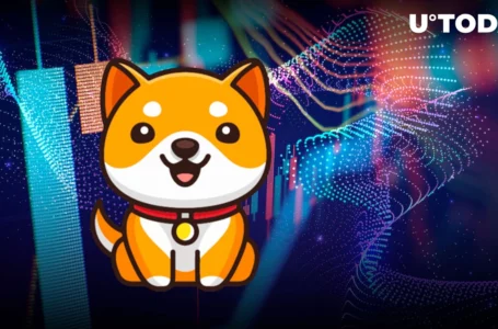 BabyDoge 60% Reversal Possible for This Reason