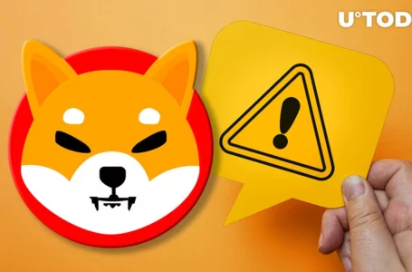 Shiba Inu Community Issues Alert on Fake Shiba Eternity Apps