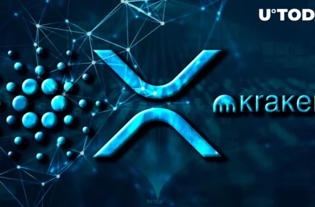Cardano, XRP’s New Feature Added by Kraken Exchange for Users
