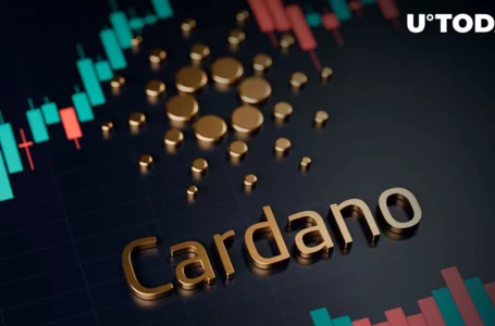 Cardano Developer Community Reaches New Growth Levels: Details