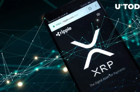 270 Million XRP Moved with Ripple’s Direct Participation, Here’s Where