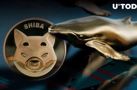 Whales Grab $33 Million in SHIB Over Past 24 Hours But There’s a Catch
