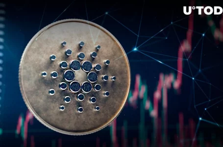 Cardano (ADA) Price Reacts to Positive News on Impending Network Releases