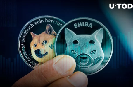 Shiba Inu, Dogecoin Post Gains as Meme Cryptocurrencies’ Trading Volumes Spike 151%