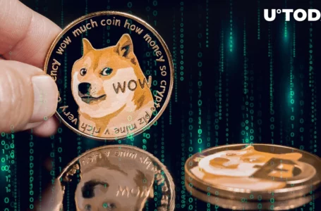 DOGE Dev Praises Possibility of Bigger Development as Libdogecoin Tests on IOS Devices