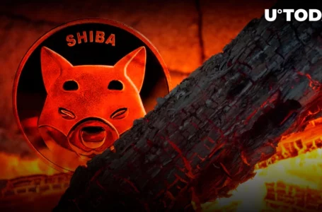 711 Million SHIB Burned in Last Week, Shiba Inu Burn Rate Up 824%