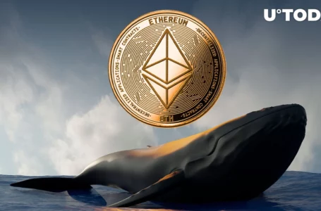 Ancient Ethereum Whale from ICO Times Returns, Transfers 145,000 ETH