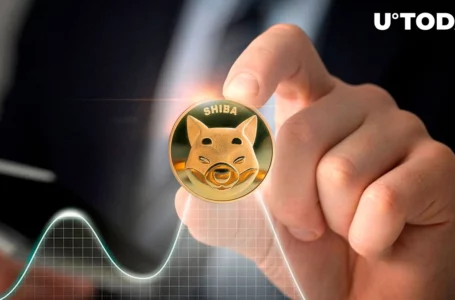 Shiba Inu (SHIB) 25% Rally Caused by This Group of Investors