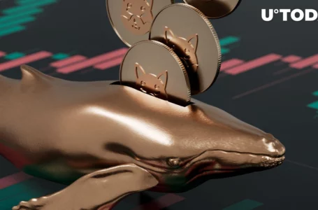 $24 Million in SHIB Grabbed by Whales as SHIB Regains 1st Place Among Assets