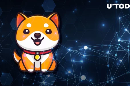 Less Than 24 Hours Before Baby Doge Testnet Launch
