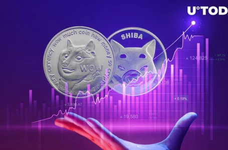 SHIB and DOGE Spike as Ethereum’s Merge Is Drawing Near and Due to Some Other Factors