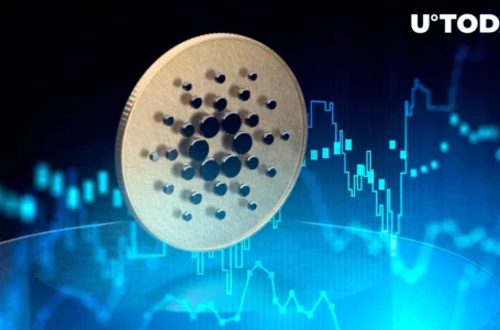 Cardano (ADA) Brings Highest Level of Profits Since March, Bulls Are Pushing Up