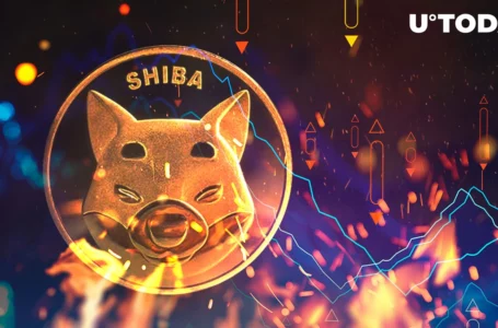 Shiba Inu (SHIB) Burn Rate Tumbles Down by 40%