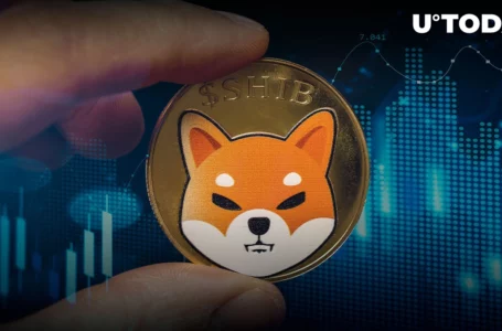 Shiba Inu: Crypto Analyst Points out Two Striking Features of Recent Rally