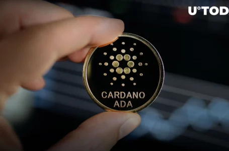 Cardano Vasil: Release of Latest Specification to Speed up Integration