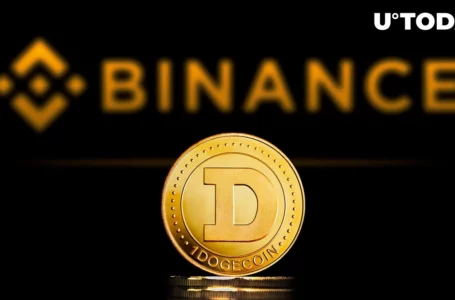 776 Million Dogecoin Moved by Anons, 1/3 Goes to Binance: Details