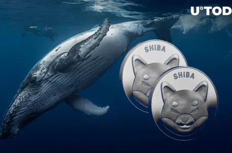 $193 Million in SHIB End up in Whales’ Wallets as They Increase Holdings