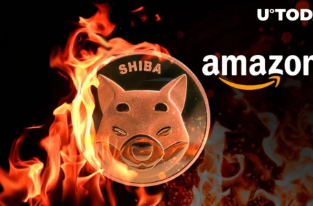 15 Million SHIB Burned via Amazon in August: Details
