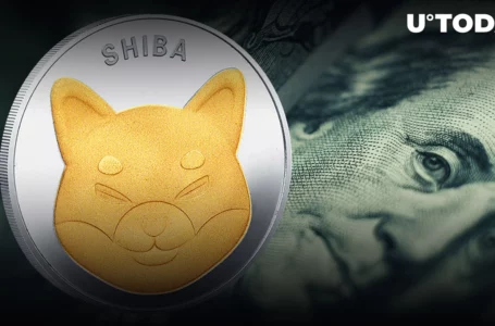 More Millionaire Shiba Inu Owners Are Emerging, Data Shows