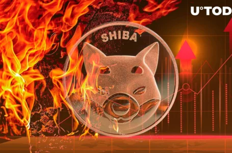 Shiba Inu Burn Rate Suddenly Jumps 322%, SHIB Price Approaches Key Support