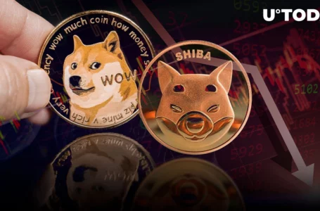 This Group of Shiba Inu and Doge Investors Caused 23% Plunge