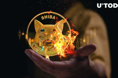 SHIB Burn Rate up 242.50% as Another 133 Million Shiba Gets Burned