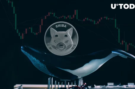 Whales Drop $33 Million in SHIB Overnight as Price Down 13%