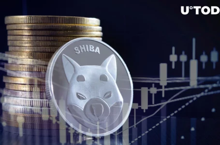Shiba Inu Retail Holders Buying up Recent SHIB Price Drop, Data Shows
